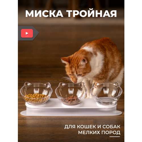 фото Миска для кошек и собак тройная на подставке с тремя секциями markov пушистый помощник