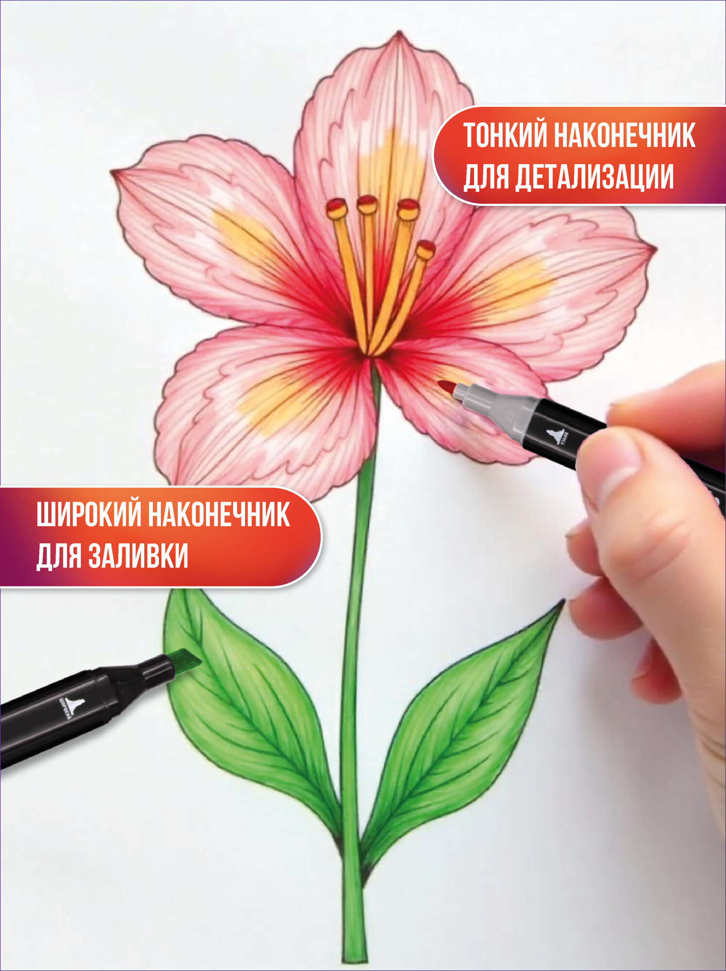 Маркеры / фломастеры для скетчинга / скетчмаркеры для рисования на бумаге двусторонние, набор 36 шт QREDO — фото 1