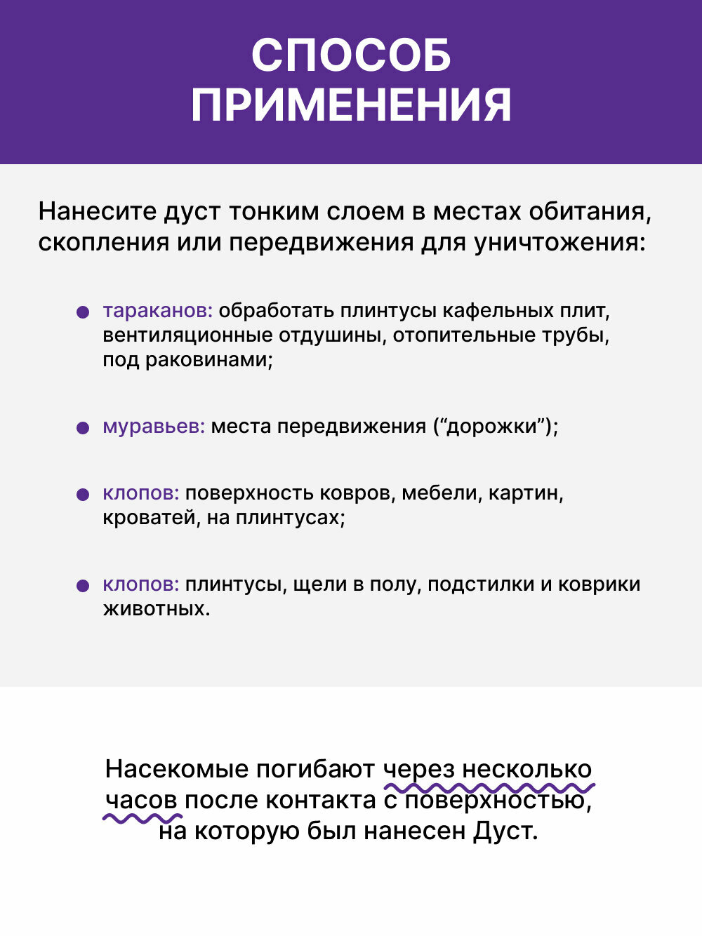 Средство от тараканов, муравьев, блох, клопов для дома и улицы Nadzor, отрава от насекомых, дуст (2 упаковки по 100 г.) — фото 1