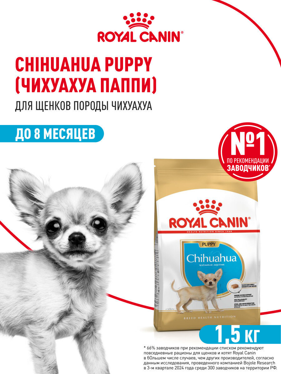 Сухой корм для щенков Royal Canin Puppy для породы чихуахуа, 1,5 кг — фото 1