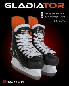 Изображение товара Коньки хоккейные Tech Team Gladiator, размер 29, стелька см