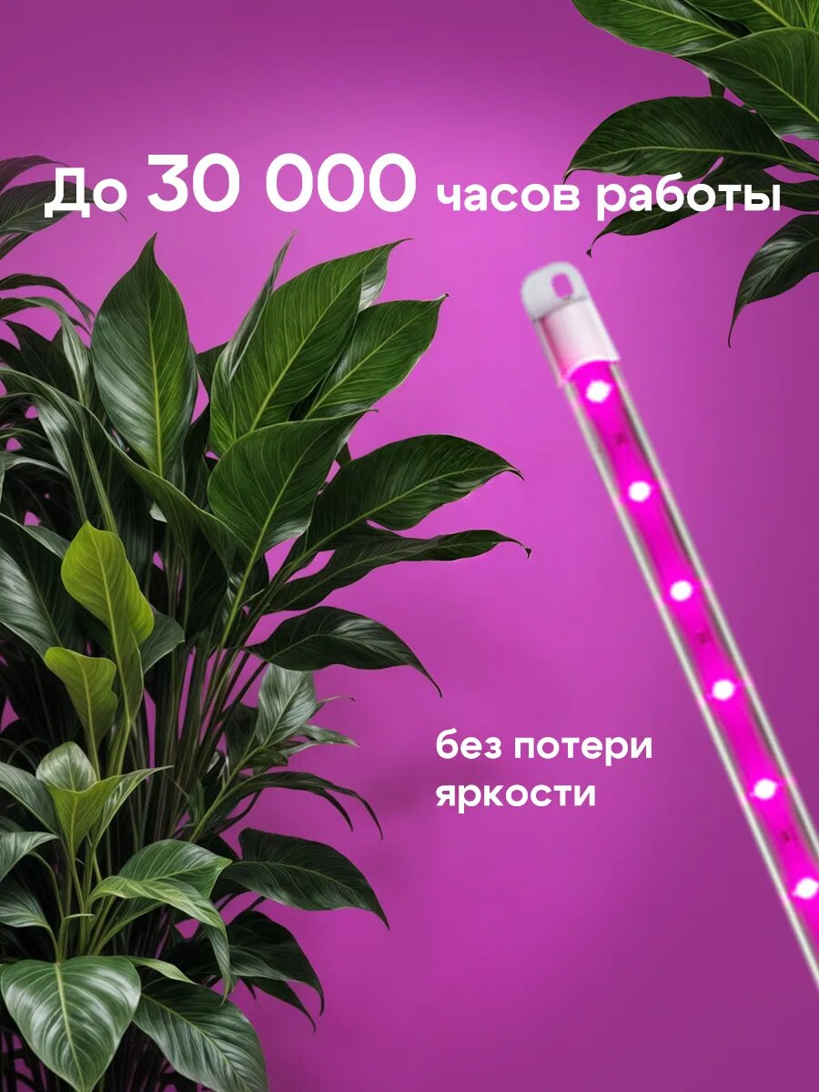 Фитолампа TOR, 60 см, красно-синий спектр, LED, 12Вт, провод 60 см — фото 1