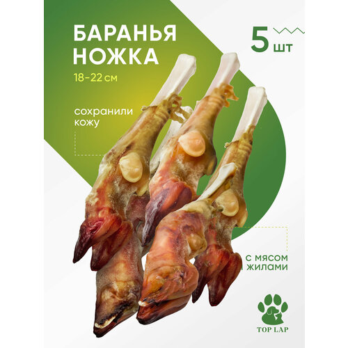 Нога барана 5 шт, баранина сушеная, лакомство кость, лакомства для собак из баранины