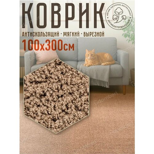 фото Ковер комнатный напольный с ворсом для зала 100х300 vdomberi