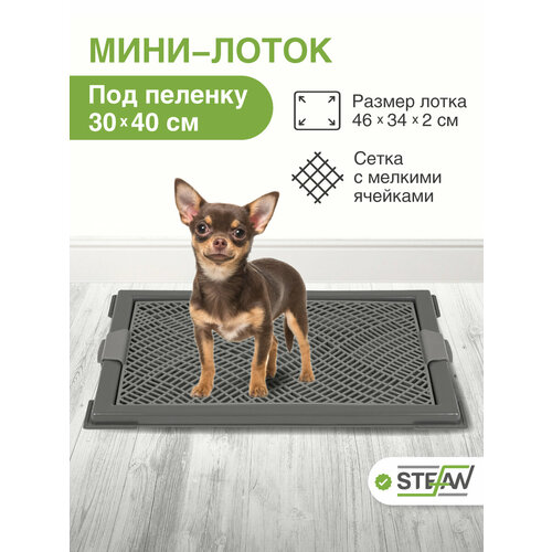 Лоток для собак под пеленку, с сеткой STEFAN мини (XS) 46х34х2, BP1049, темно-серый