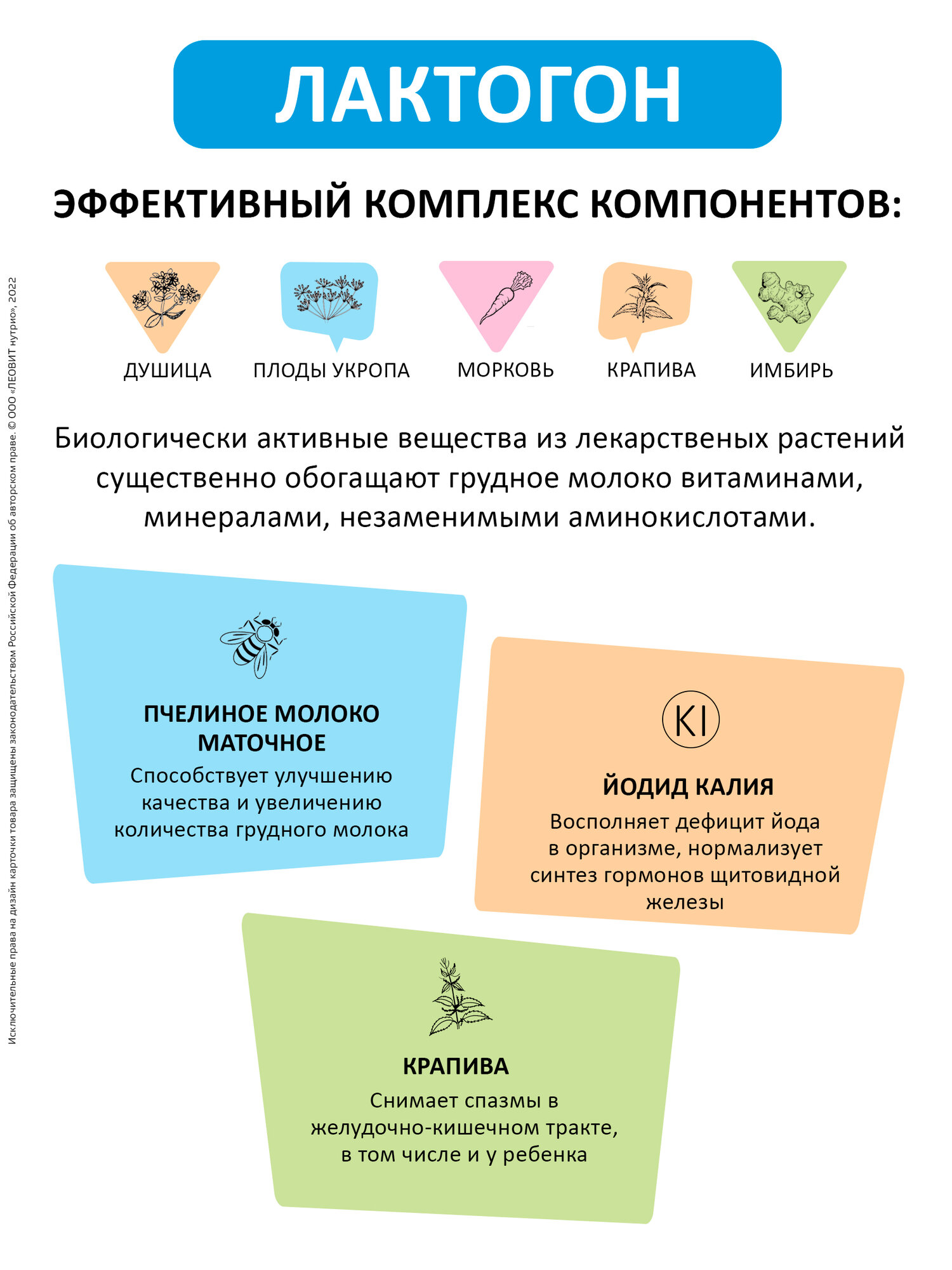 Изображение БАД для кормящих матерей для увеличения лактации Лактогон ЛЕОВИТ для поддержания грудного вскармливания 20 таблеток