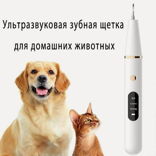 Изображение товара Зубная щетка для собак / Ультразвуковой скалер для удаления зубного камня у собак / Уход за полостью рта для животных