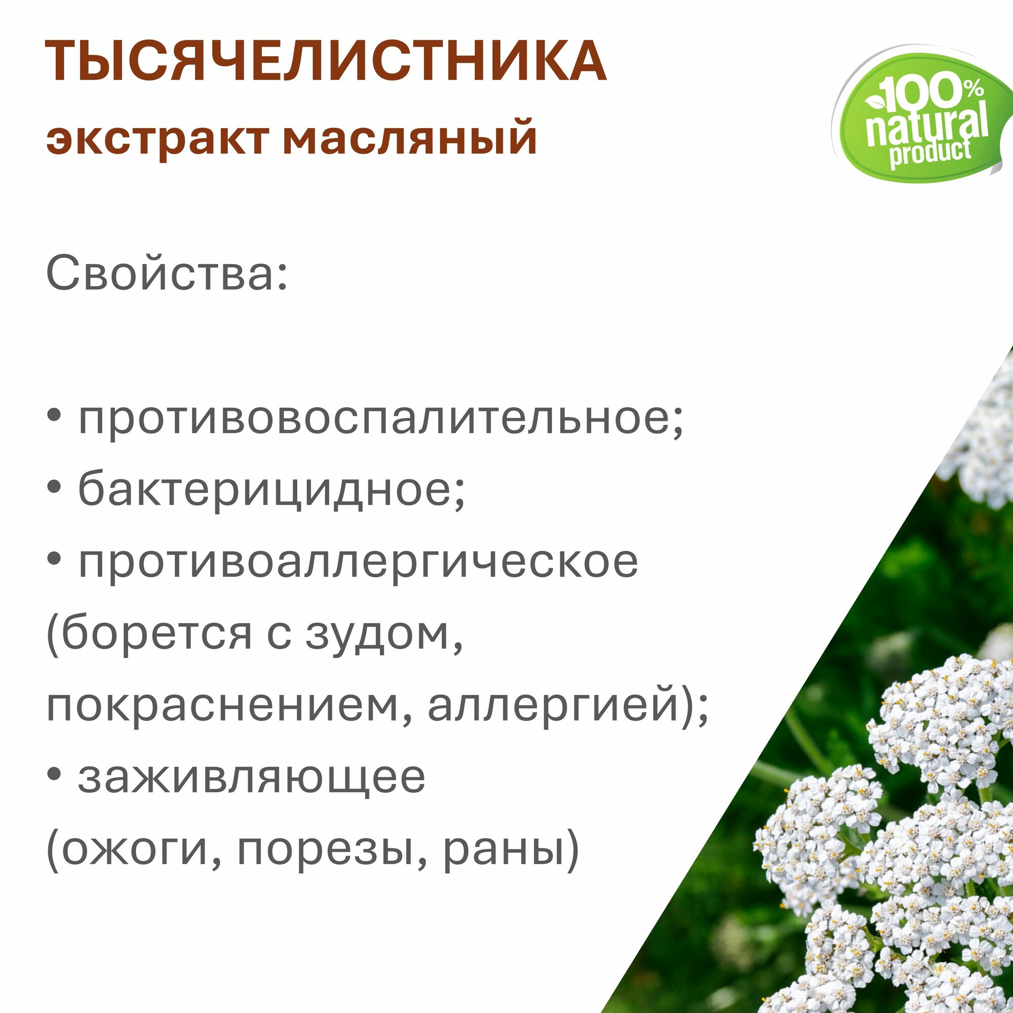 Картинки Экстракт тысячелистника, масляный - 500 мл
