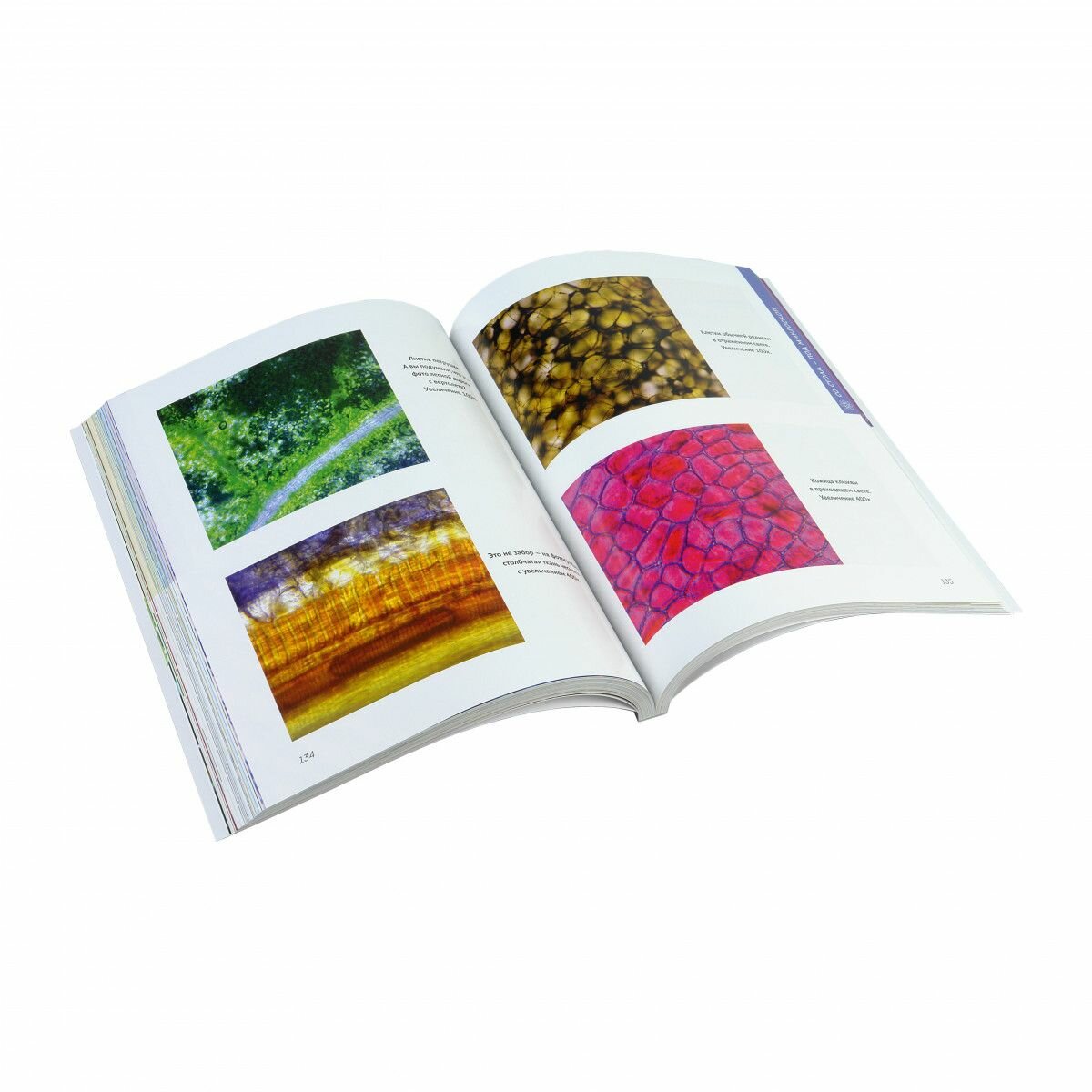 Главная книга Микромед юного биолога — фото 1