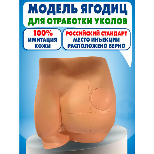 фото Анатомическая модель ягодиц, тренажер для отработки навыков внутримышечных инъекций retorsa