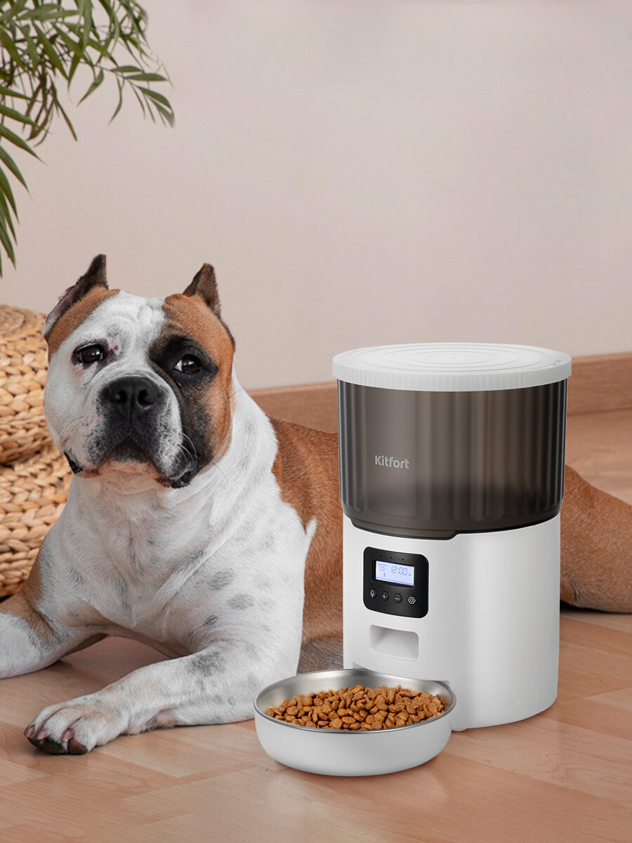 Картинки Умная кормушка для животных Kitfort КТ-6362