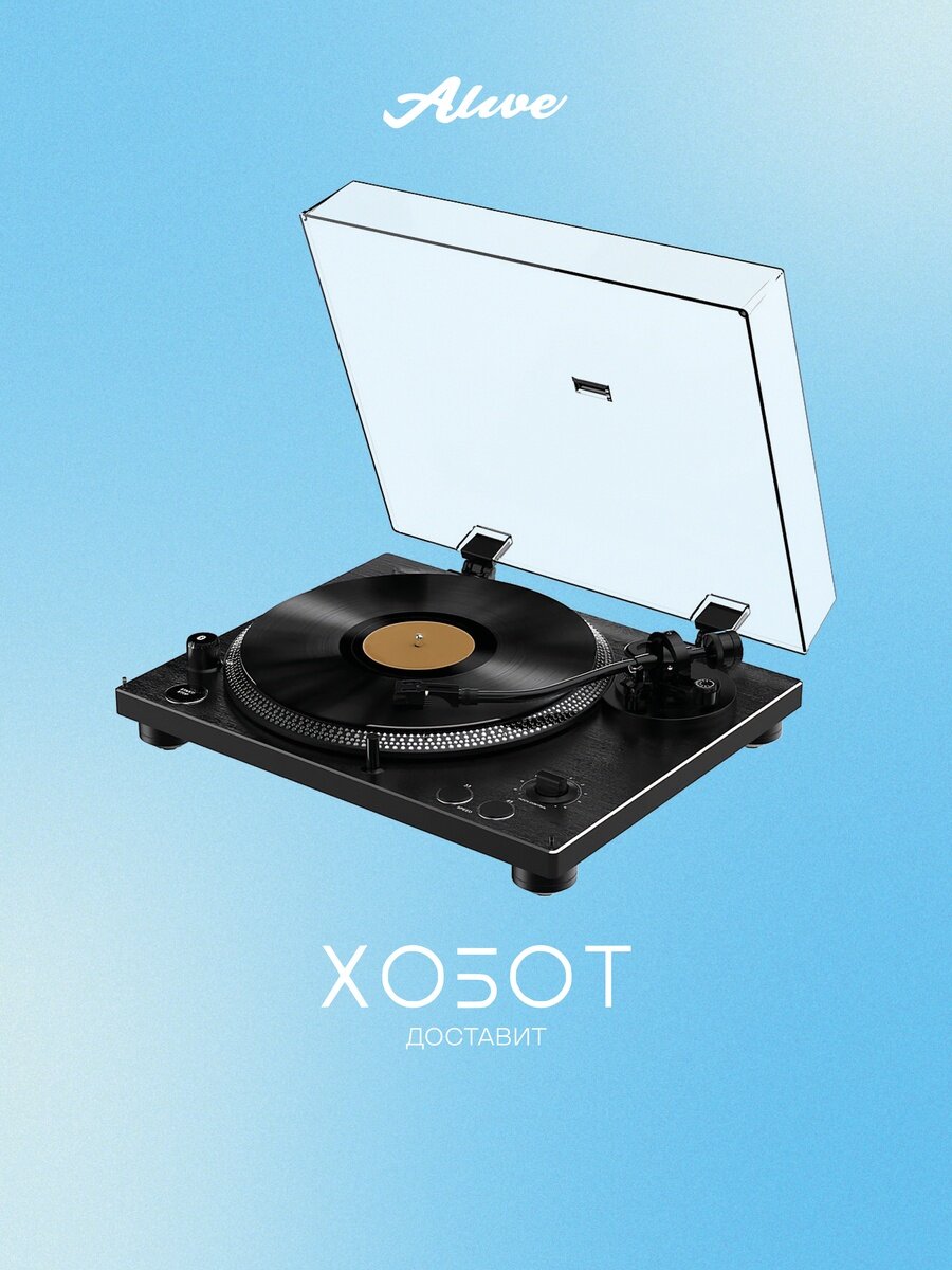 Проигрыватель виниловых пластинок Alive Audio Twister Black