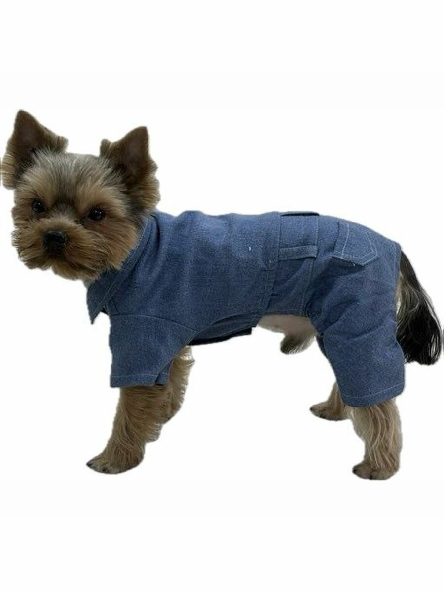 Джинсовый комбинезон для собак мелких пород
