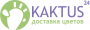 Кактус24