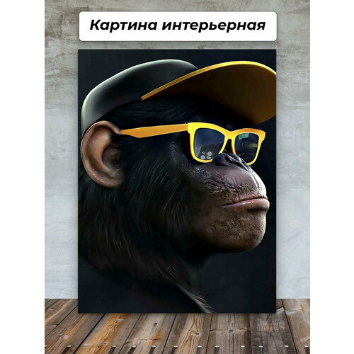 Картины для интерьера 50х70 Обезьяна в очках кепка