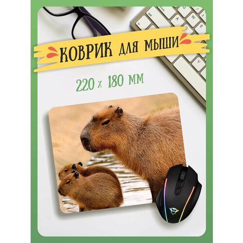 Маленький игровой коврик для мышки Капибара