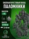 траншейные паломники