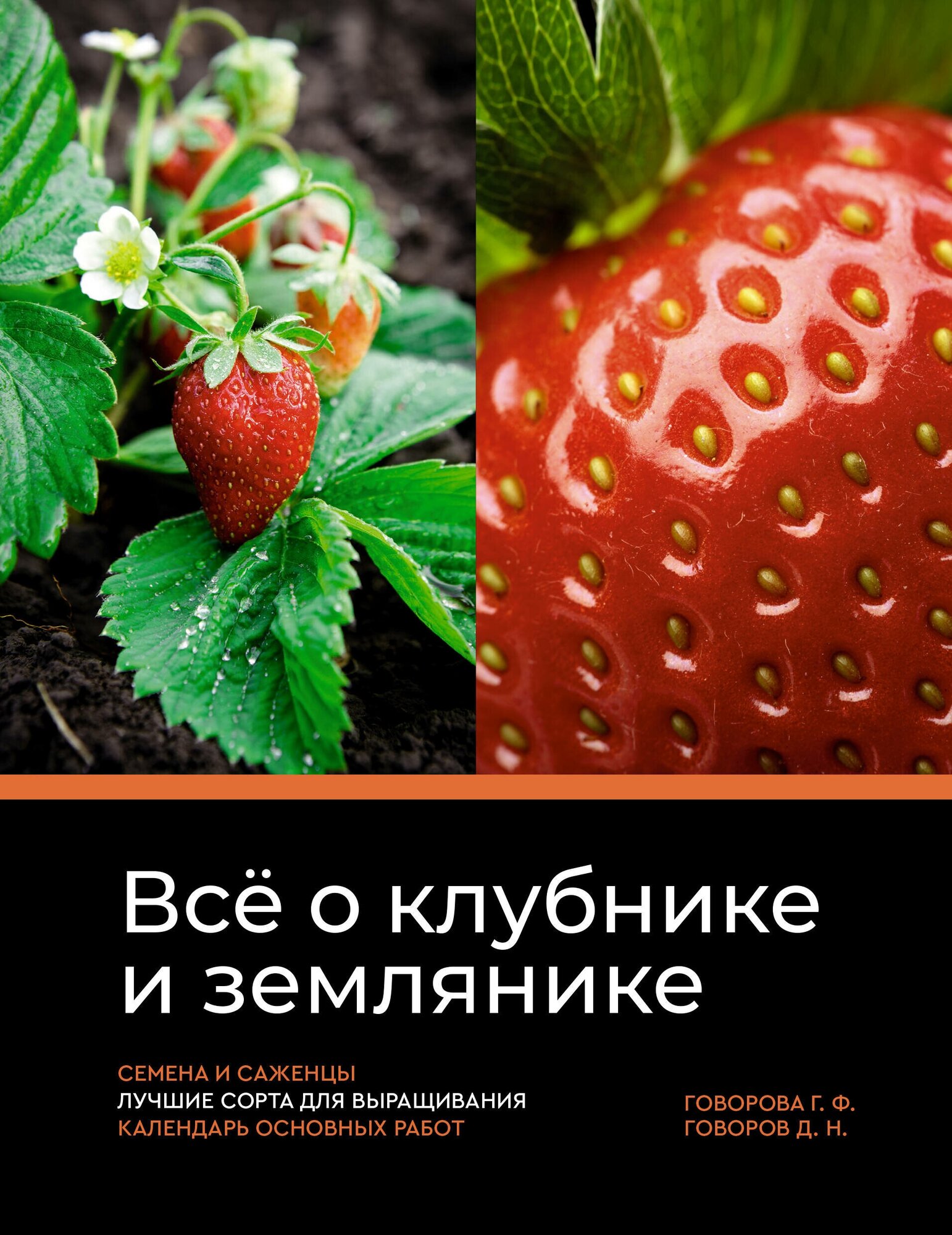 Всё о клубнике и землянике. Семена и саженцы. Лучшие сорта для выращивания. Календарь основных работ - фото №1