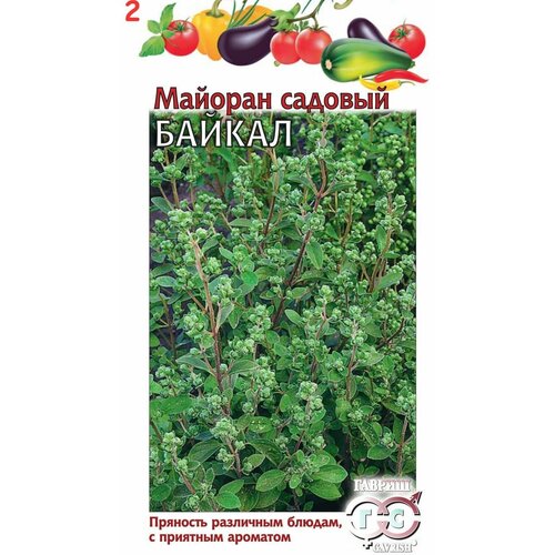 Семена Майоран садовый Байкал (2 шт.) семена майоран садовый байкал