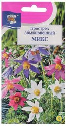 Семена цветов Прострел обыкновенный Микс, 0,03 г 3 шт