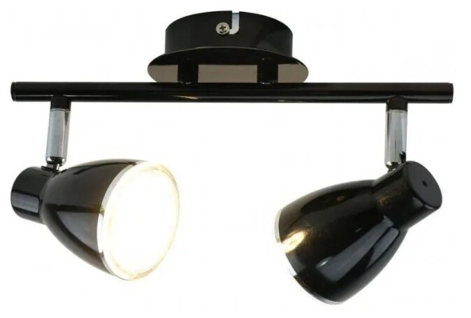 фото Спот Arte Lamp Gioved A6008PL-2BK