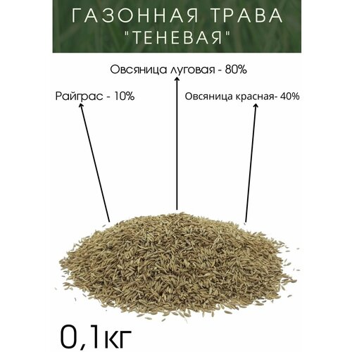 Газонная Трава Теневая 100 грамм газонная смесь sortline теневая 1кг коробка