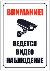 Информационная табличка "Видеонаблюдение №2" 297x210 мм из пластика 3 мм