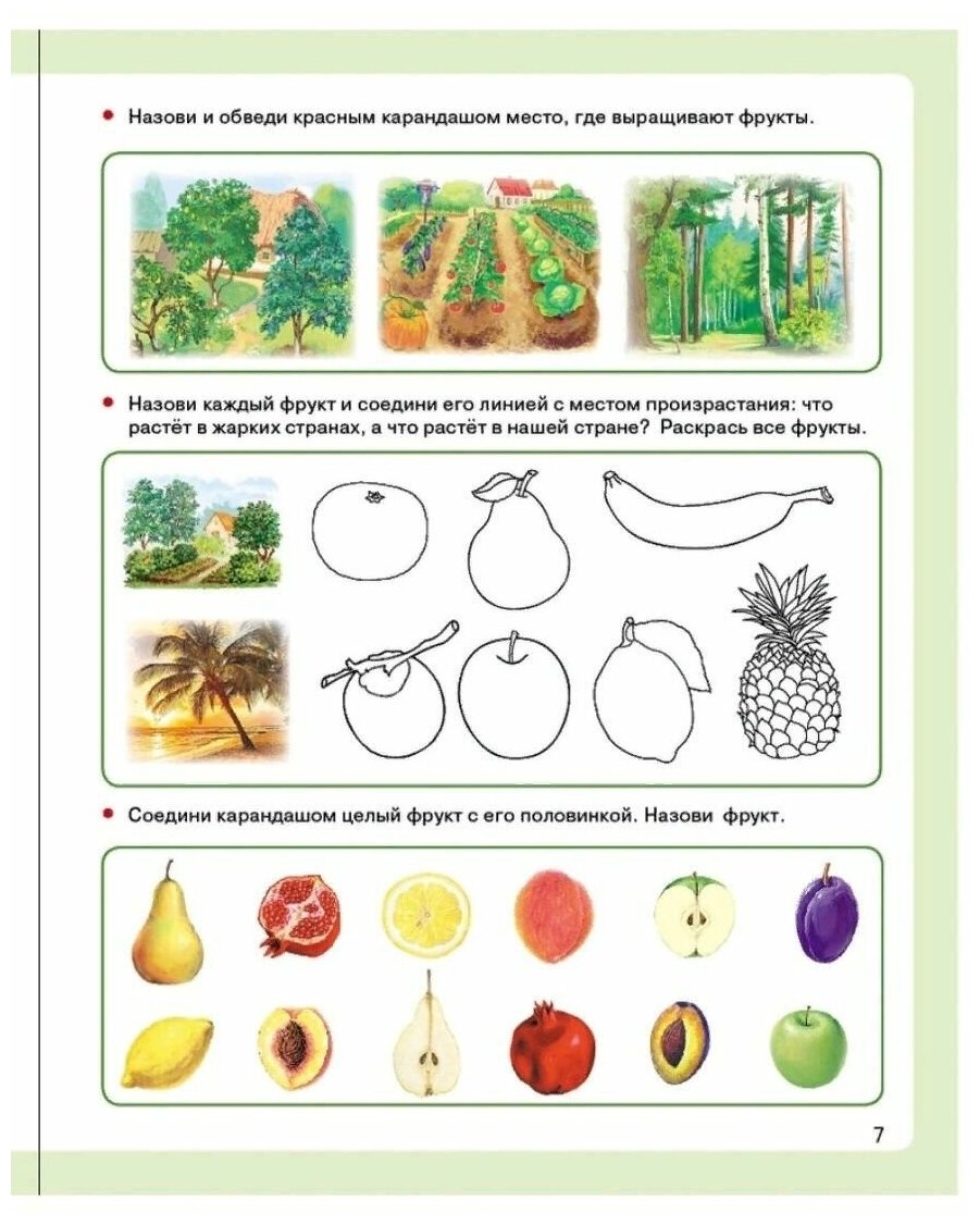 Окружающий мир в вопросах и заданиях. Я знаю. Мир растений, мир животных, мир человека - фото №4