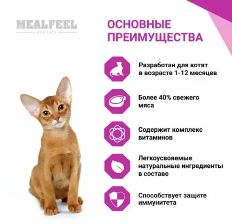 Mealfeel Functional Nutrition Kitten корм для котят до 12 месяцев, с курицей и индейкой, 1,5 кг - фотография № 2