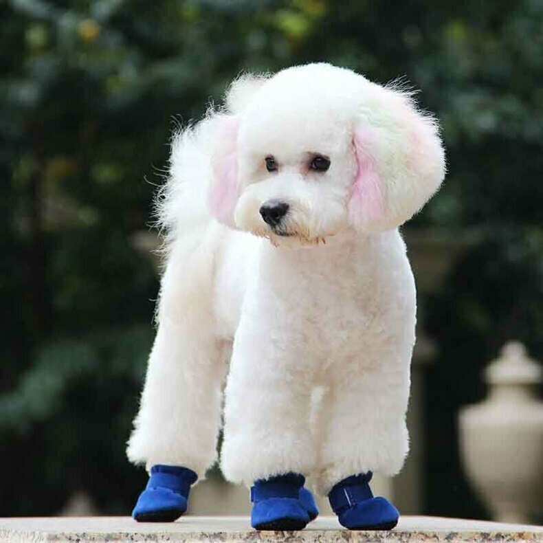 Ботиночки для собак мелких пород Arnydog "Угги" синие, M (4,5*4,0 см) - фотография № 3