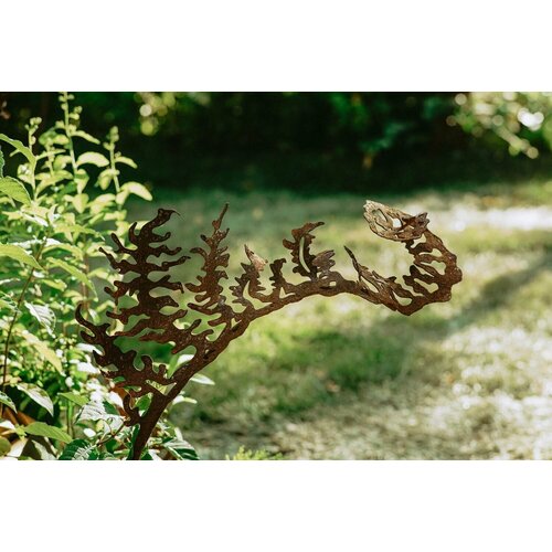 Папоротник v2