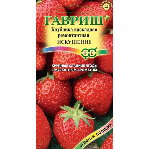 Семена Гавриш Ягодная полянка Искушение, каскадная, ремонтантная, 10шт. семена земляника щедрая каскадная ремонтантная 4шт гавриш ягодная полянка 10 пакетиков