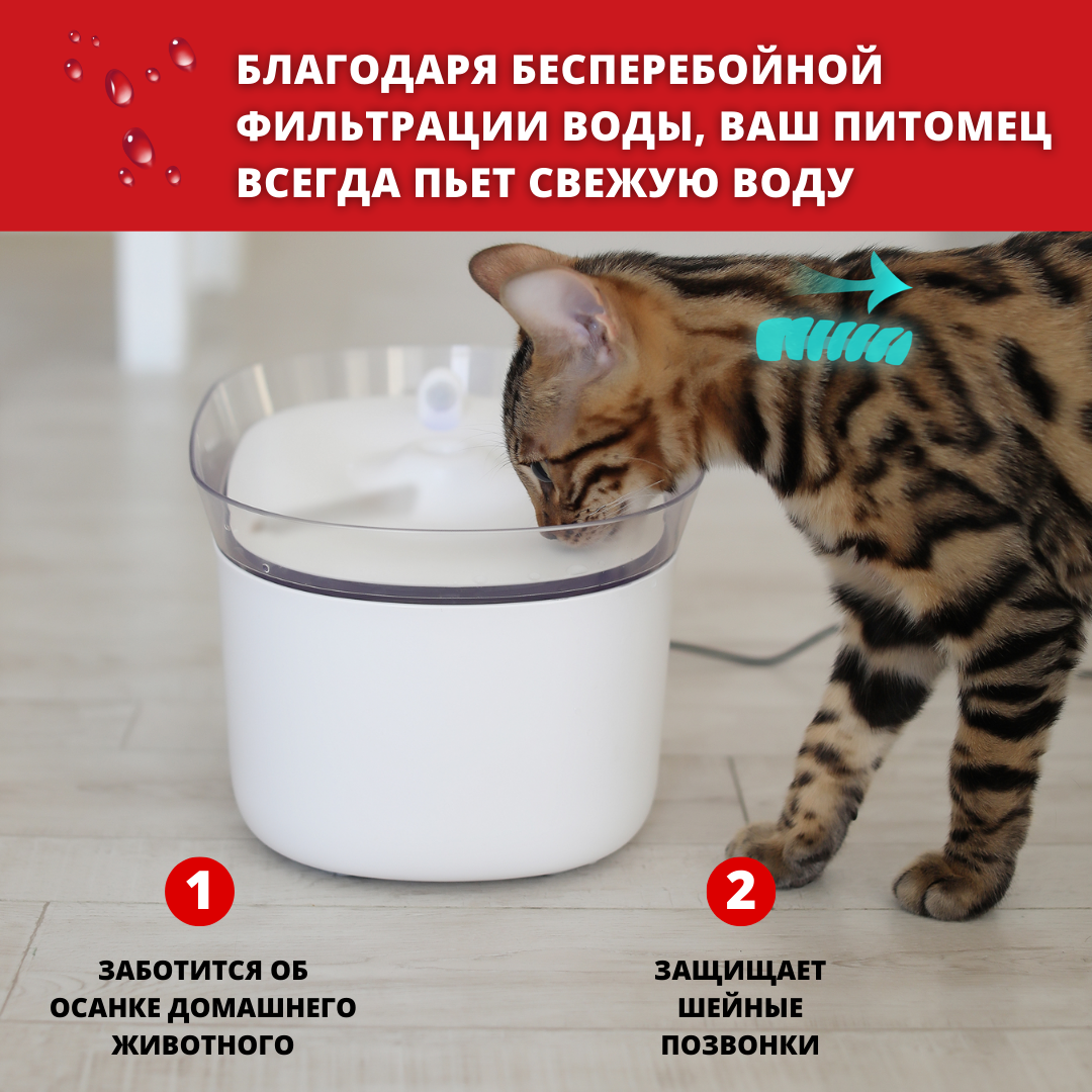 Автопоилка Pettix / Бесшумный питьевой фонтан для кошек и собак / Автоматическая поилка для животных 2,5 л - фотография № 6