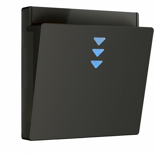 Накладка для электронного карточного выключателя Werkel W1163108 черный