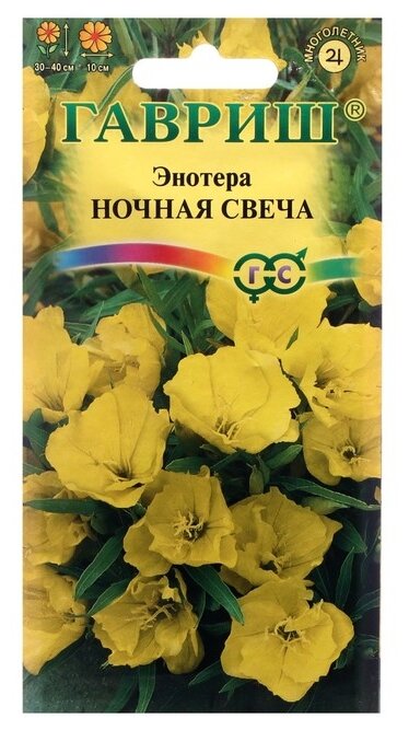 фото Семена Гавриш Энотера миссурийская Ночная свеча 0,2 г