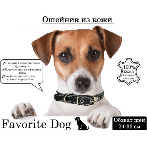 Ошейник из кожи для собак мелких пород Favorite DOG