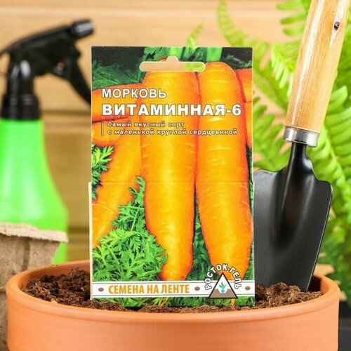 Семена Морковь Витаминная-6, семена на ленте, 8 м 5 упаковок семена морковь на ленте деликатесная аэлита 8 м