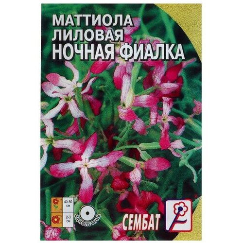 Семена цветов Маттиола Лиловая (ночая фиалка), 0,5 г 5 шт