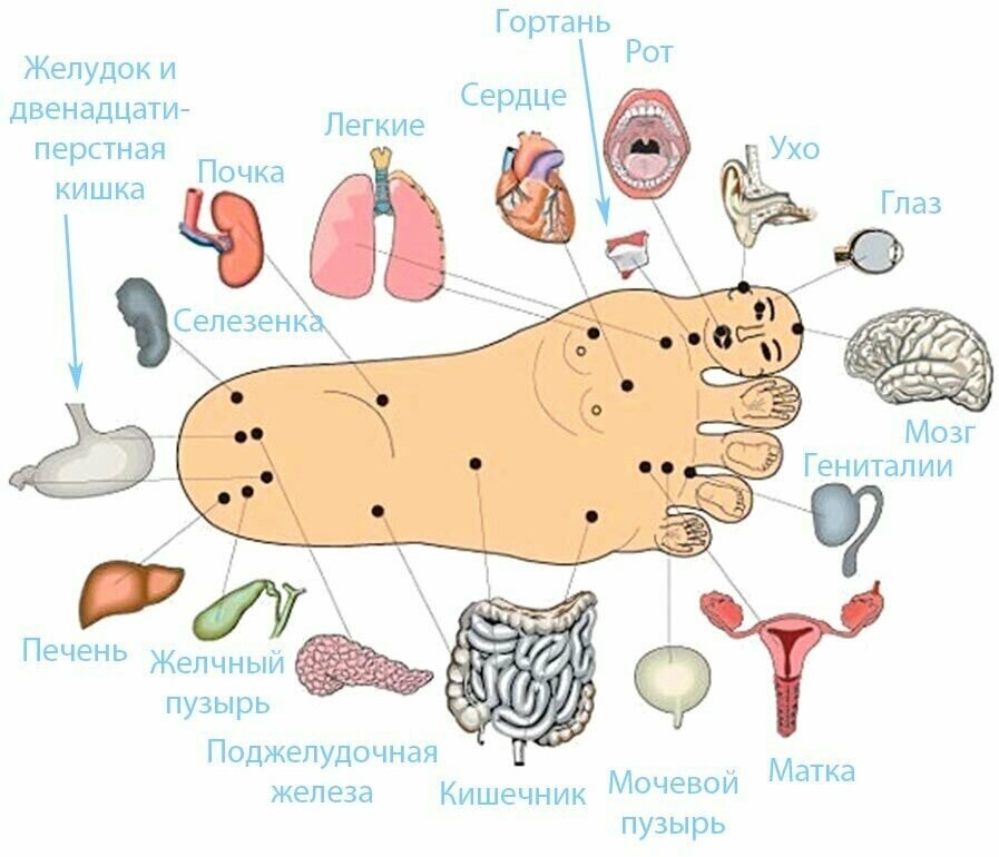 Массажёр акупунктурный Trives су-джок, M-713 - фотография № 6