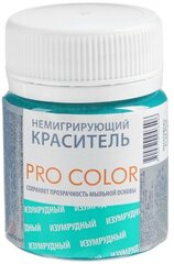 Выдумщики Краситель немигрирующий PRO Color, изумрудный, 40 г