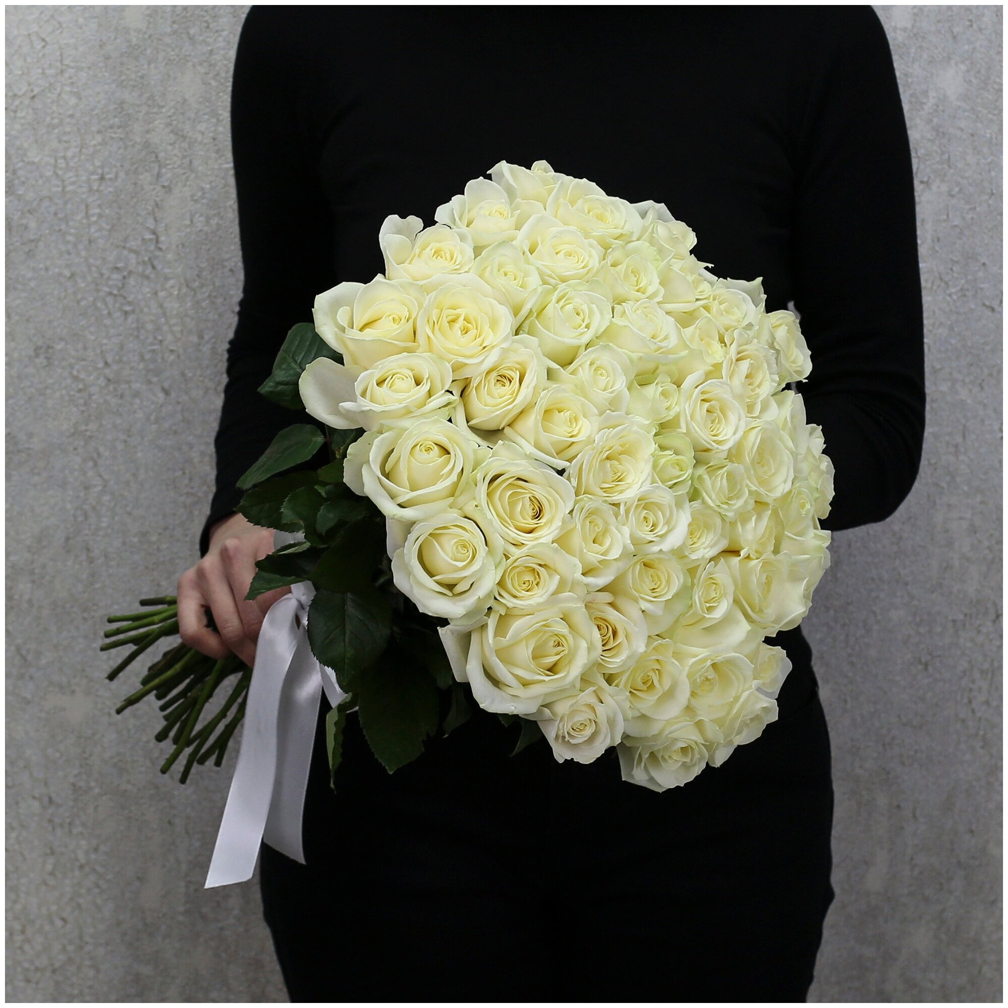 Цветы живые букет из 51 белой розы Аваланч 50 см с атласной лентой