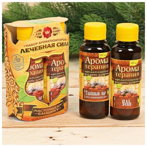Набор Лечебная сила 2 ароматизатора 100мл 478₽
