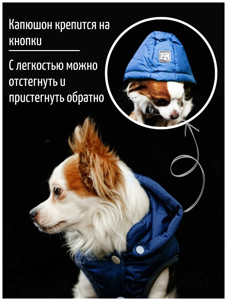 Зимняя куртка с капюшоном для собак и кошек - фотография № 3