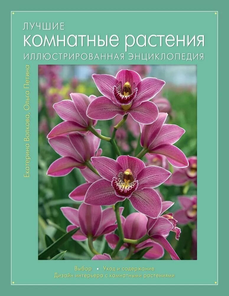 Лучшие комнатные растения. Иллюстрированная энциклопедия - фото №1