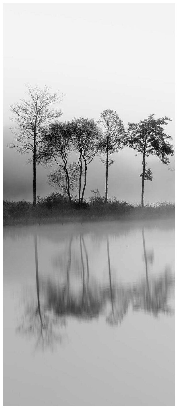 Самоклеящиеся фотообои "Утренний туман, ч-б", размер: 90x210 см, эффект: черно-белый