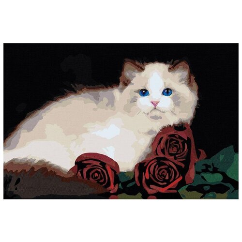 Персидская кошка с розами Раскраска картина по номерам на холсте