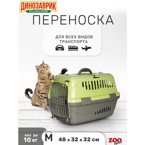 ZOOexpress переноска для животных "Турне" M с прозрачной пластиковой дверцей 48х32х32 см зеленая