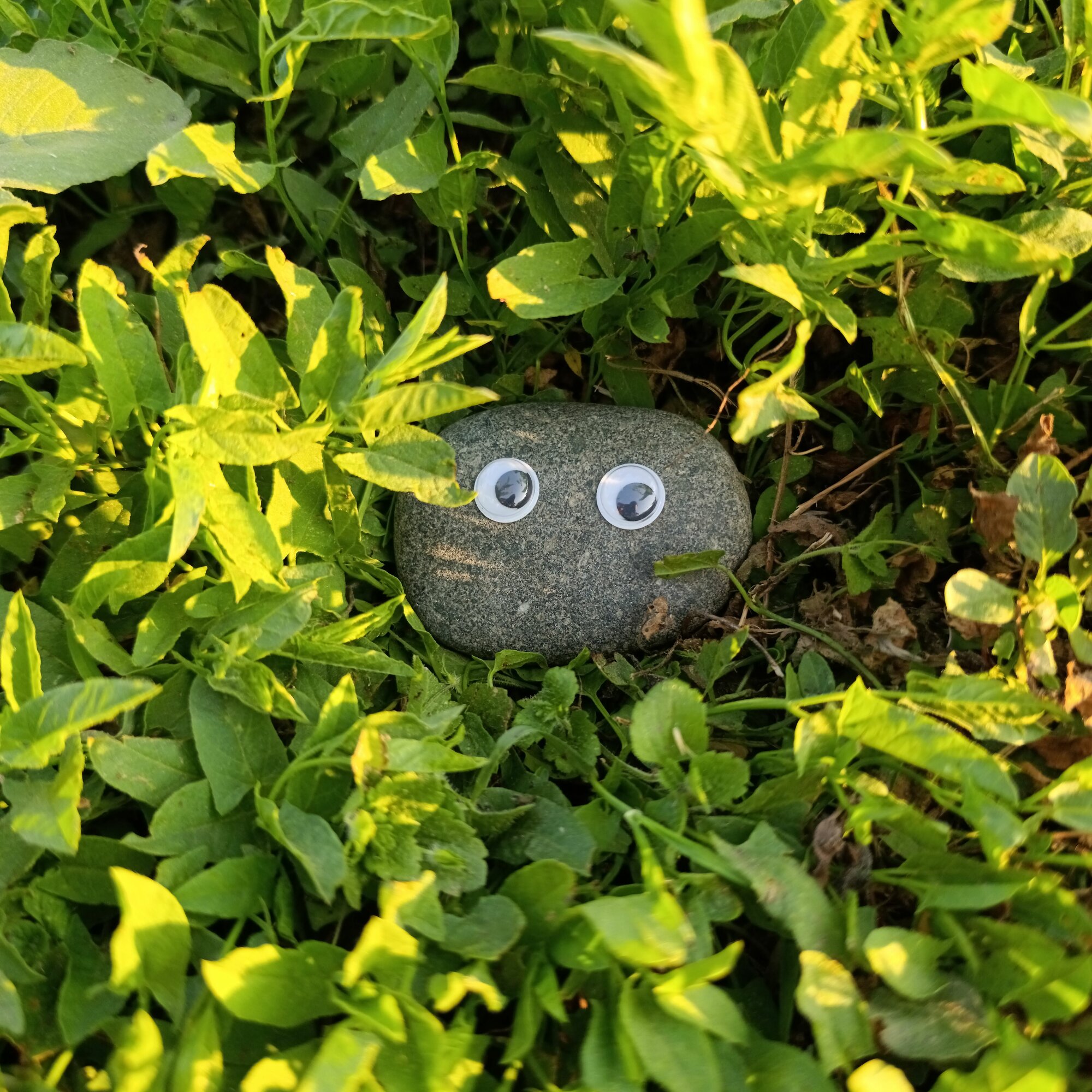 Камень "Питомец"