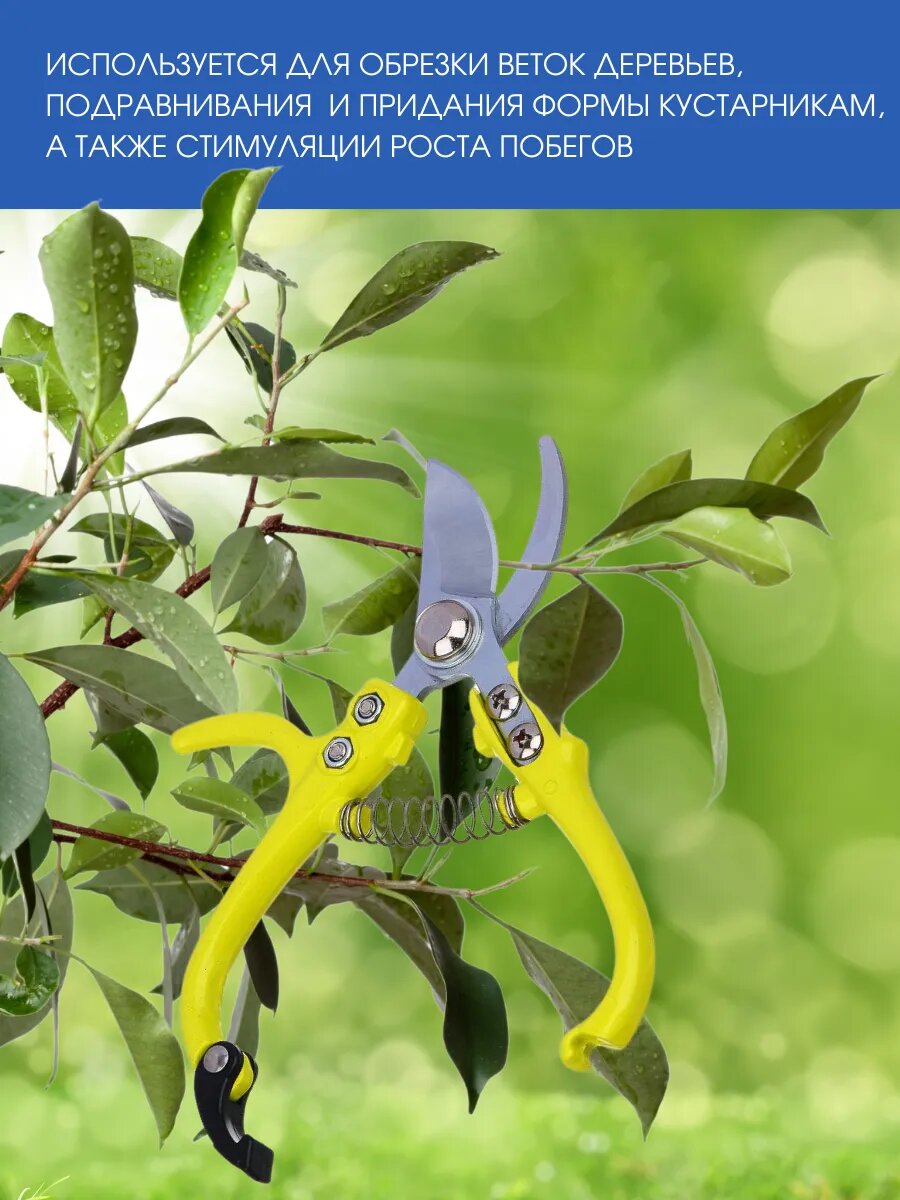 Секатор Inbloom, марганцевая сталь, антикоррозийное покрытие, пружинный — фото 1