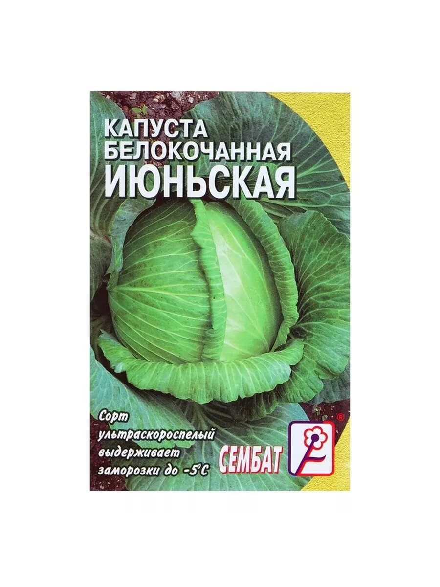 6 пак. Семена Капуста белокачанная 